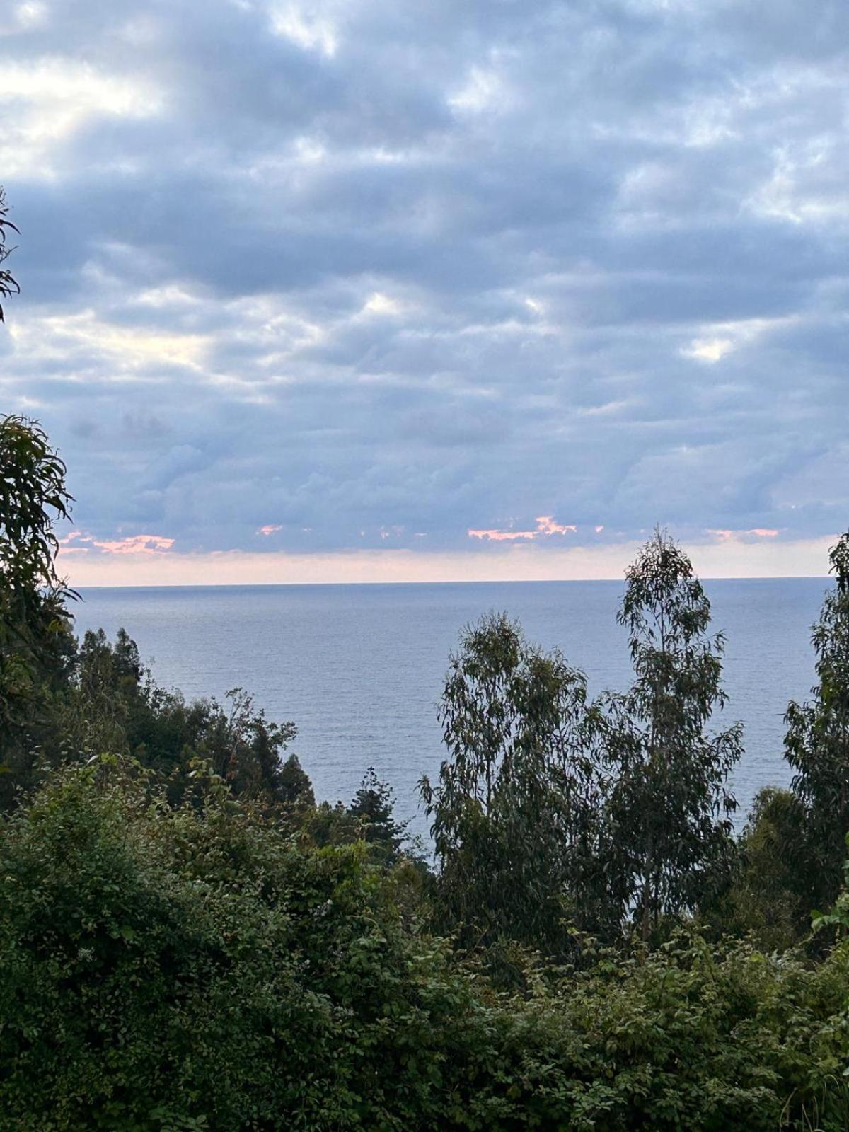 Amplio Apartamento Con Jardin En Villa Haritza Con Vistas Al Mar Ea Luaran gambar
